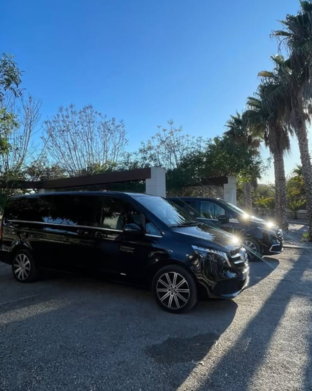 Mercedes V-Class entre palmeras bajo un cielo azul