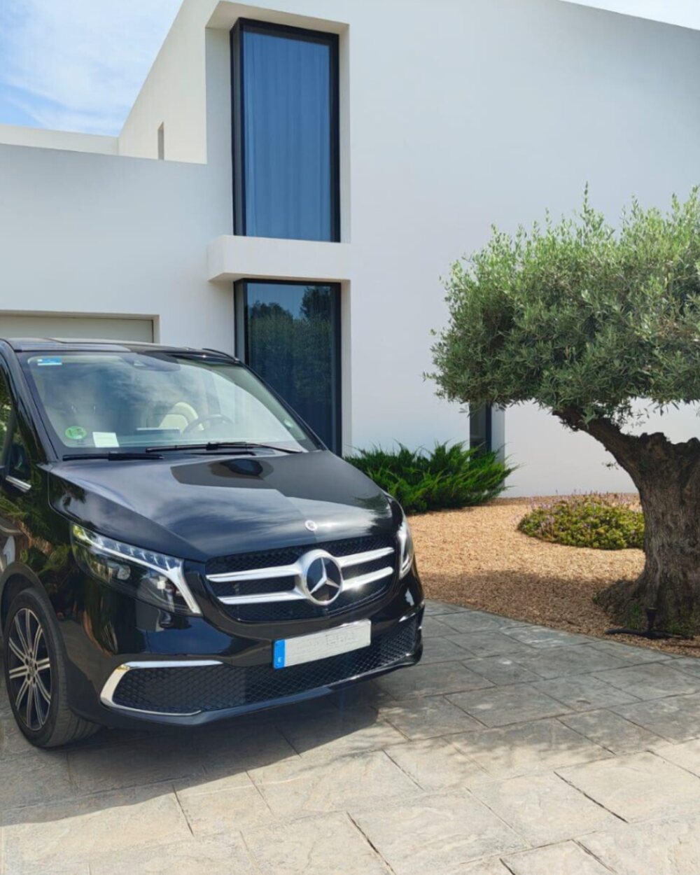 Mercedes V-Class aparcado junto a un olivo frente a una villa